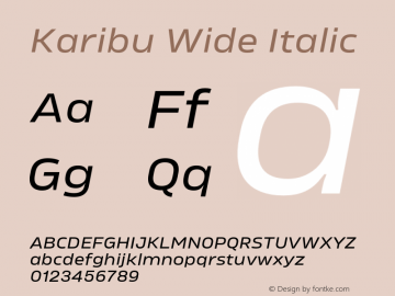 Karibu Wide Regular Italic Version 1.000;PS 001.000;hotconv 1.0.88;makeotf.lib2.5.64775图片样张