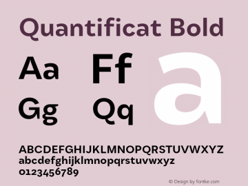 Quantificat Bold Version 1.000;Glyphs 3.1.2 (3151)图片样张