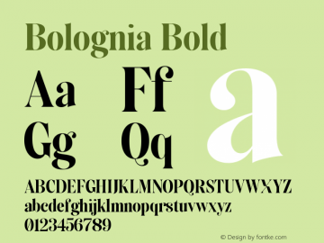 Bolognia Bold Version 1.000;Glyphs 3.2 (3197)图片样张