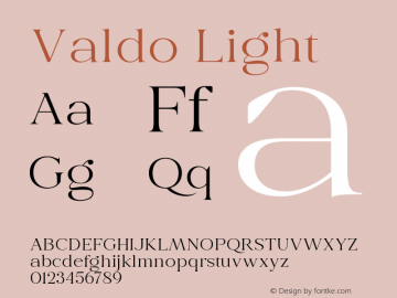 Valdo Light Version 1.000;hotconv 1.0.109;makeotfexe 2.5.65596图片样张