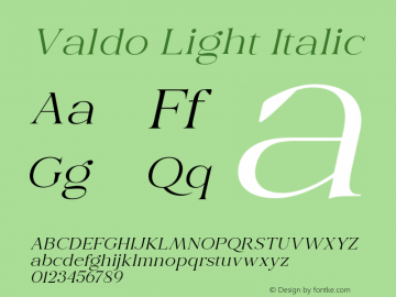 Valdo-LightItalic Version 1.000;hotconv 1.0.109;makeotfexe 2.5.65596图片样张