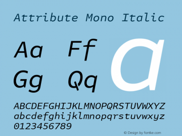 Attribute Mono Italic Version 7.601, build 1028, FoPs, FL 5.04图片样张