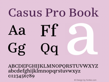 Casus Pro Book Version 7.504; 2016; Build 1027图片样张