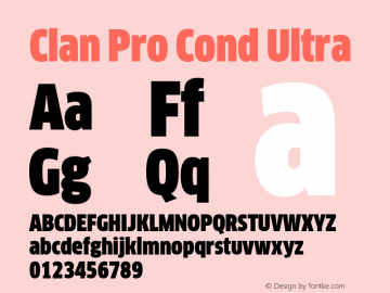 Clan Pro Cond Ultra Version 7.600, build 1030, FoPs, FL 5.04图片样张