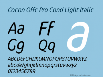 Cocon Offc Pro Cond Light Ita Version 7.504; 2009; Build 1003图片样张