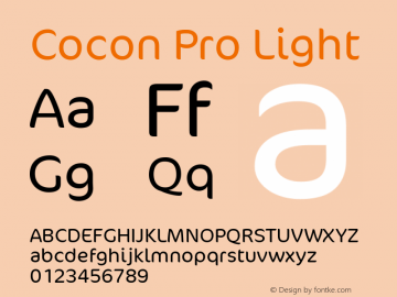 Cocon Pro Light Version 7.600图片样张