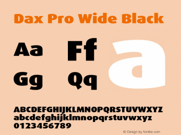 Dax Pro Wide Black Version 7.504; 2006; Build 1022图片样张