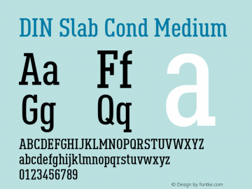 DIN Slab Cond Medium Version 1.00图片样张