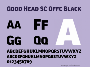 Good Head SC Offc Black Version 7.504; 2010; Build 1021图片样张