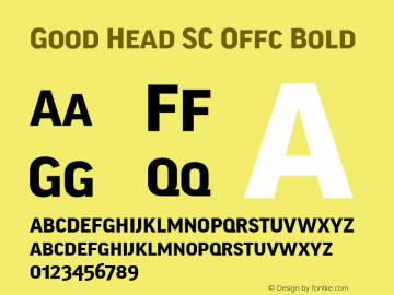 Good Head SC Offc Bold Version 7.504; 2010; Build 1021图片样张