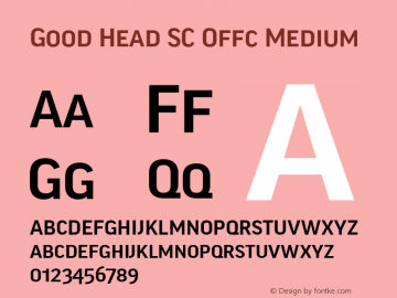 Good Head SC Offc Medium Version 7.504; 2010; Build 1021图片样张
