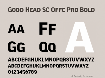 Good Head SC Offc Pro Bold Version 7.504; 2010; Build 1021图片样张