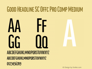 Good Head SC Offc Pro Comp Medium Version 7.504; 2014; Build 1020图片样张