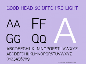 Good Head SC Offc Pro Light Version 7.504; 2010; Build 1021图片样张