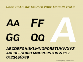 Good Head SC Offc Wide Medium Italic Version 7.504; 2010; Build 1022图片样张