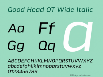 Good Head OT Wide Italic Version 7.60图片样张