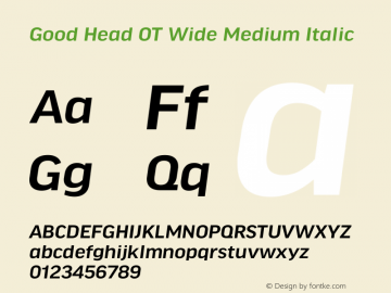 Good Head OT Wide Medium Italic Version 7.60图片样张