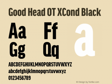 Good Head OT XCond Black Version 7.60图片样张