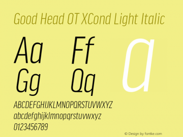 Good Head OT XCond Light It Version 7.60图片样张