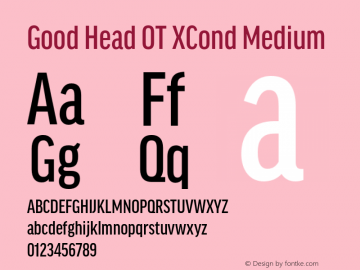 Good Head OT XCond Medium Version 7.60图片样张