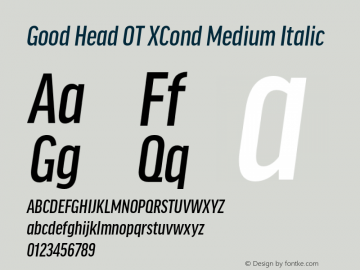 Good Head OT XCond Medium It Version 7.60图片样张