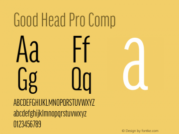 Good Head Pro Comp Version 7.60图片样张