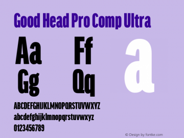 Good Head Pro Comp Ultra Version 7.60图片样张