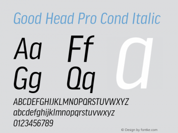 Good Head Pro Cond It Version 7.60图片样张