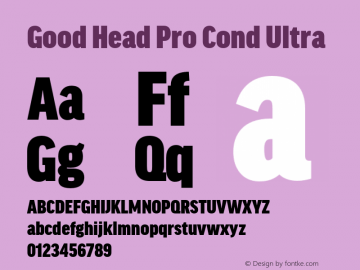 Good Head Pro Cond Ultra Version 7.60图片样张