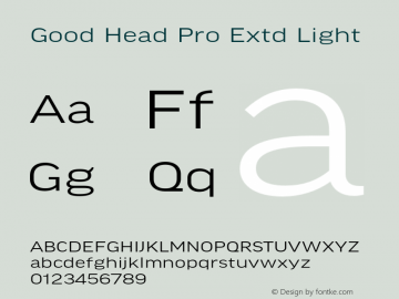 Good Head Pro Extd Light Version 7.60图片样张
