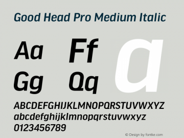 Good Head Pro Medium Italic Version 7.60图片样张