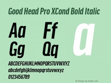 Good Head Pro XCond Bold It Version 7.60图片样张