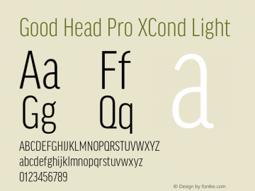 Good Head Pro XCond Light Version 7.60图片样张