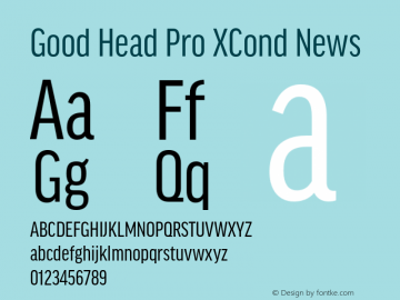 Good Head Pro XCond News Version 7.60图片样张