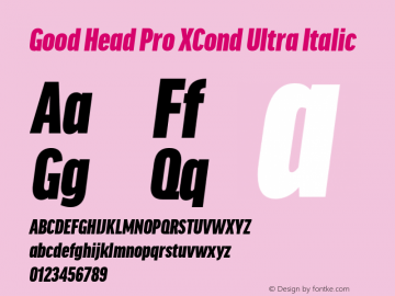 Good Head Pro XCond UltIt Version 7.60图片样张