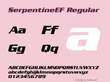 SerpentineEF Regular Version 2.00 2003 initial release;com.myfonts.ef.serpentine.ef-bold-italic.wfkit2.3j9Z图片样张