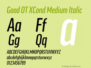 Good OT XCond Medium Italic Version 7.60图片样张