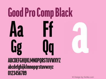 Good Pro Comp Black Version 7.60图片样张