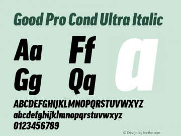 Good Pro Cond Ultra Italic Version 7.60图片样张