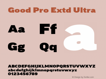 Good Pro Extd Ultra Version 7.60图片样张