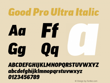 Good Pro Ultra Italic Version 7.60图片样张