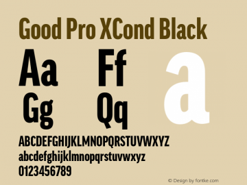 Good Pro XCond Black Version 7.60图片样张