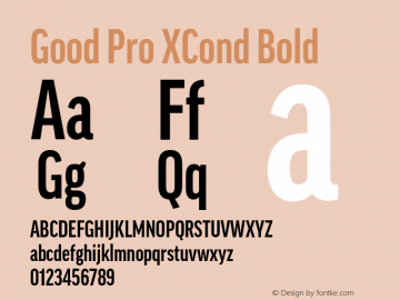 Good Pro XCond Bold Version 7.60图片样张