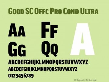 Good SC Offc Pro Cond Ultra Version 7.504; 2014; Build 1020图片样张