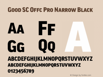 Good SC Offc Pro Narr Black Version 7.504; 2014; Build 1020图片样张