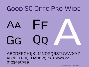 Good SC Offc Pro Wide Version 7.504; 2014; Build 1020图片样张