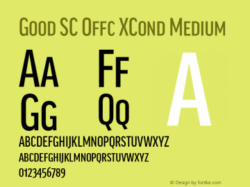 Good SC Offc XCond Medium Version 7.504; 2014; Build 1020图片样张