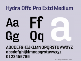 Hydra Offc Pro Extd Medium Version 7.504; 2012; Build 1022图片样张