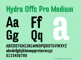 Hydra Offc Pro Medium Version 7.504; 2012; Build 1022图片样张