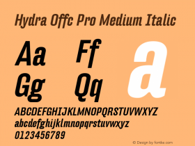 Hydra Offc Pro Medium Ita Version 7.504; 2012; Build 1022图片样张